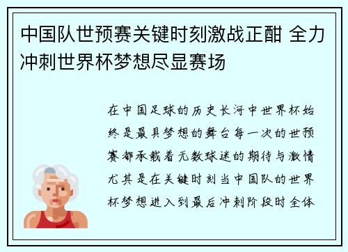 中国队世预赛关键时刻激战正酣 全力冲刺世界杯梦想尽显赛场