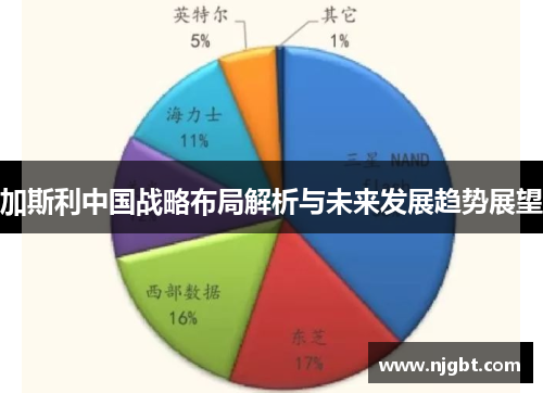 加斯利中国战略布局解析与未来发展趋势展望